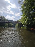 IMG_20240701_113059.jpg